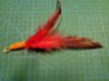 Picture of Dyed red green yellow blue pink rooster tail feather refill teaser