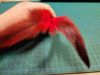 Picture of Dyed red green yellow blue pink rooster tail feather refill teaser