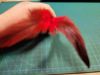 Picture of Dyed red rooster tail feather refill teaser