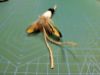 Picture of Dual colour natural pheasant feather and hemp refill toy