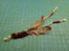 Picture of Handmade from natural feathers refill toy with catnip sticks