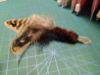 Picture of Handmade from natural striped pheasant feathers refill toy