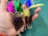 Picture of Wide Variety 5 PACK handmade feather refill toys
