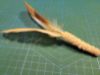 Picture of MUNIFICENT Ginger's handmade natural hen feather fetch toy for cat stealth version