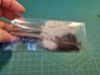 Picture of MUNIFICENT 3 pack Cat catnip sticks natural wood turned into chewable toy with chicken fluff feathers