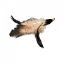 Picture of MUNIFICENT Big Lad's handmade natural rooster fluff feathers refill toy for frenzy & da bird type wand teasers