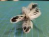 Picture of MUNIFICENT Dotty's handmade natural hen feathers refill toy for frenzy & da bird type wand teasers