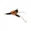 Picture of TAN Handmade from natural Guinea Fowl feathers and hemp refill toy for frenzy & da bird type wand teasers