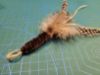 Picture of TAN Handmade from natural Guinea Fowl feathers and hemp refill toy for frenzy & da bird type wand teasers