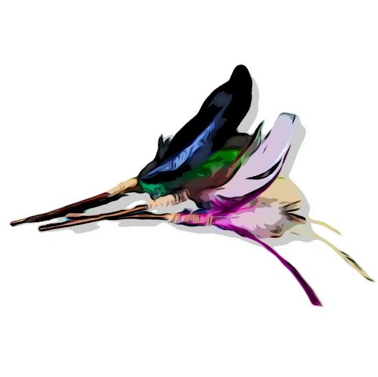 Picture of 3 pack full size (12CM stick) silvervine matatabi catnip sticks with colourful feathers and prickly hemp