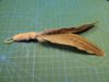 Picture of Big prey handmade from natural pheasant wing feathers refill toy for frenzy & da bird type wand teasers 