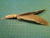 Picture of Big prey handmade from natural pheasant wing feathers refill toy for frenzy & da bird type wand teasers 
