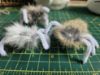 Picture of 3 pack of handmade scary furry spiders made of real rabbit fur for halloween