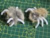 Picture of 3 pack of handmade scary furry spiders made of real rabbit fur for halloween