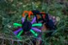 Picture of 3 PACK handmade scary halloween themed spiders