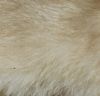 Picture of Real rabbit fur kicker with catnip and feathers tail, cotton tail or no tail 