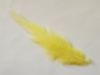 Picture of Dyed red green yellow blue pink rooster tail feather refill teaser