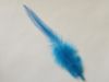 Picture of Dyed red green yellow blue pink rooster tail feather refill teaser