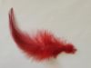 Picture of Dyed red green yellow blue pink rooster tail feather refill teaser