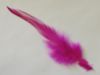 Picture of Dyed red green yellow blue pink rooster tail feather refill teaser