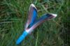 Picture of Fetch Toy with Blue Duck Wing Feathers and Colourful Stem