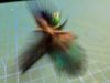 Picture of Wand Teaser Refill with Green Body and Peacock Feathers