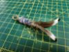 Picture of Mallard duck wing feather teaser refill for cat wands