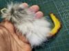 Picture of Purrfect Hunt - BUILD YOUR MOUSE teaser refill for cat wands