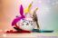 Picture of Wide Variety 5 PACK handmade feather refill toys